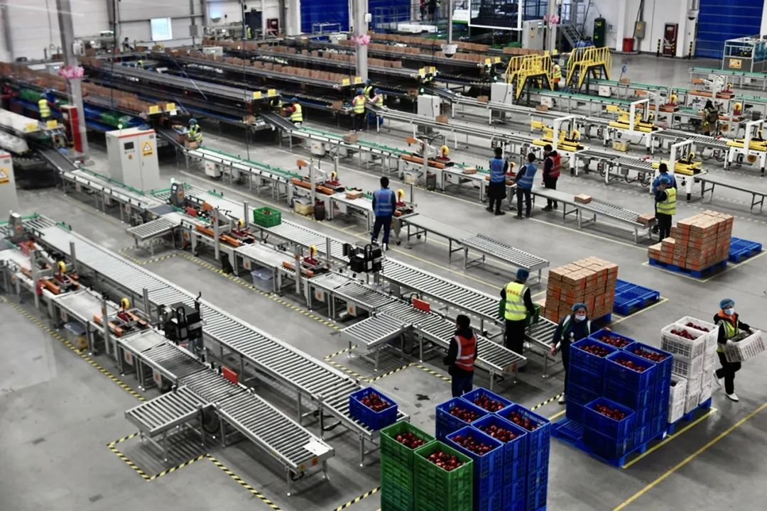 阿里改造农业的野心